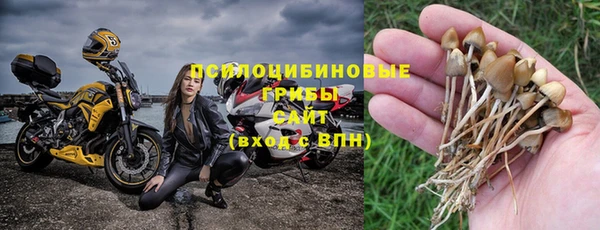 спиды Алексеевка