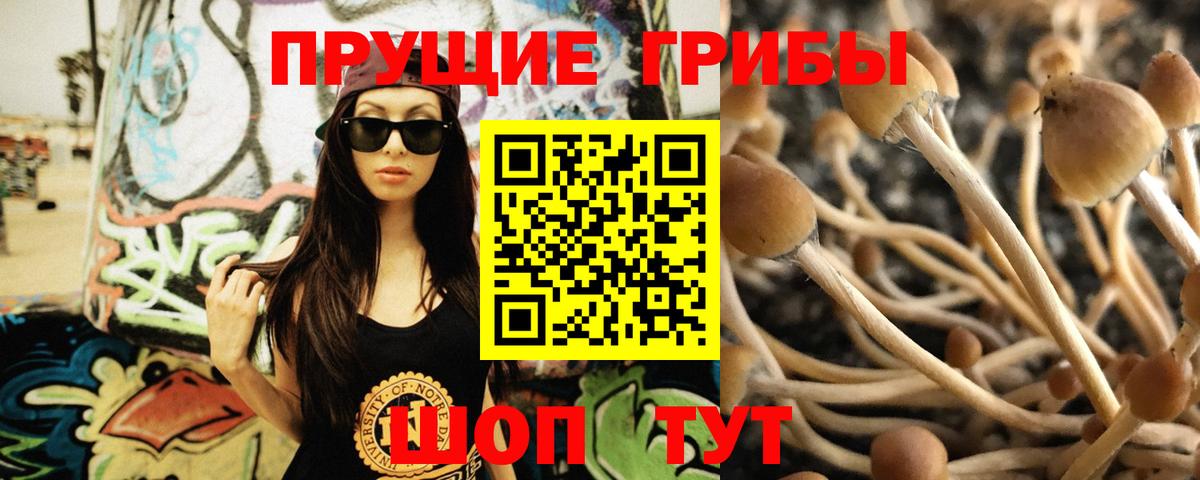 Галлюциногенные грибы прущие грибы  наркошоп  Соликамск  Вход с VPN 